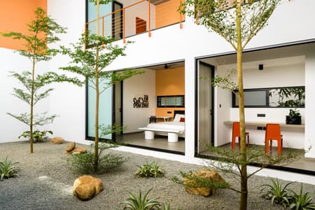 The Colour Burst House